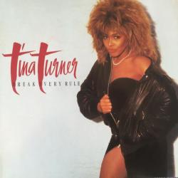 TINA TURNER BREAK EVERY RULE Виниловая пластинка TINA TURNER BREAK EVERY RULE Виниловая пластинка