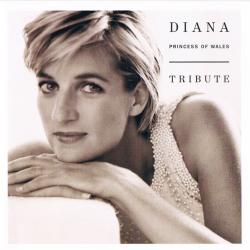 VARIOUS DIANA (PRINCESS OF WALES) TRIBUTE Фирменный CD VARIOUS DIANA (PRINCESS OF WALES) TRIBUTE Фирменный CD