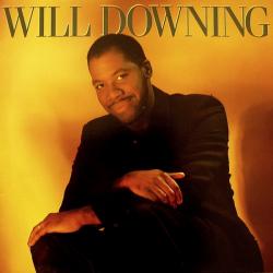 WILL DOWNING WILL DOWNING Виниловая пластинка WILL DOWNING WILL DOWNING Виниловая пластинка