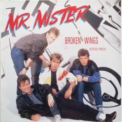 MR. MISTER BROKEN WINGS (EXTENDED VERSION) Виниловая пластинка MR. MISTER BROKEN WINGS (EXTENDED VERSION) Виниловая пластинка