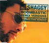 BOOMBASTIC (REMIX VERSIONS)