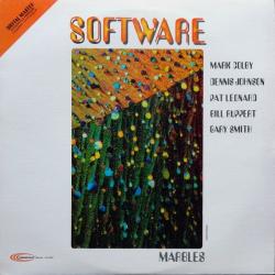 SOFTWARE Marbles Виниловая пластинка SOFTWARE Marbles Виниловая пластинка