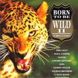 VARIOUS Born To Be Wild II Фирменный CD VARIOUS Born To Be Wild II Фирменный CD