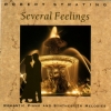 Several Feelings (Romantic Piano And Synthesizer Melodies)