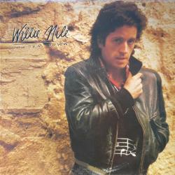 Willie Nile GOLDEN DOWN Виниловая пластинка Willie Nile GOLDEN DOWN Виниловая пластинка