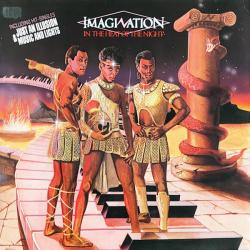 IMAGINATION IN THE HEAT OF THE NIGHT Виниловая пластинка IMAGINATION IN THE HEAT OF THE NIGHT Виниловая пластинка