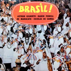 VARIOUS BRASIL ! Виниловая пластинка VARIOUS BRASIL ! Виниловая пластинка