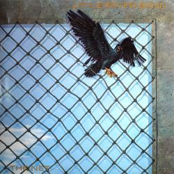 LITTLE RIVER BAND THE NET Виниловая пластинка LITTLE RIVER BAND THE NET Виниловая пластинка