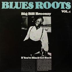 BIG BILL BROONZY If You're Black Get Back Виниловая пластинка BIG BILL BROONZY If You're Black Get Back Виниловая пластинка