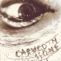 VINCE NEIL CARVED IN STONE Фирменный CD VINCE NEIL CARVED IN STONE Фирменный CD