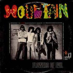 MOUNTAIN FLOWERS OF EVIL Виниловая пластинка MOUNTAIN FLOWERS OF EVIL Виниловая пластинка
