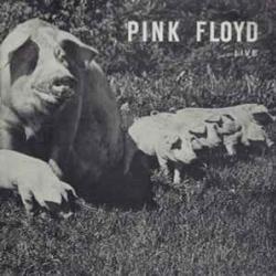 PINK FLOYD LIVE Виниловая пластинка PINK FLOYD LIVE Виниловая пластинка