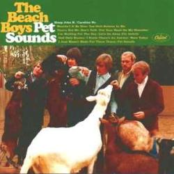 BEACH BOYS PET SOUND CD+DVD Фирменный CD BEACH BOYS PET SOUND CD+DVD Фирменный CD