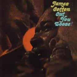 JAMES COTTON CUT YOU LOOSE! Фирменный CD JAMES COTTON CUT YOU LOOSE! Фирменный CD