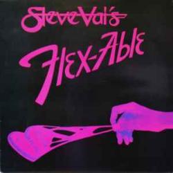 STEVE VAI FLEX-ABLE Виниловая пластинка STEVE VAI FLEX-ABLE Виниловая пластинка