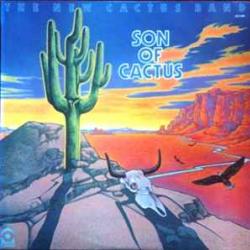NEW CACTUS BAND SON OF CACTUS Виниловая пластинка NEW CACTUS BAND SON OF CACTUS Виниловая пластинка