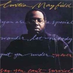CURTIS MAYFIELD NEVER SAY YOU CAN'T SURVIVE Виниловая пластинка CURTIS MAYFIELD NEVER SAY YOU CAN'T SURVIVE Виниловая пластинка