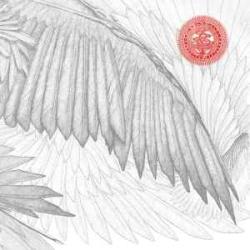 BUG ANGELS & DEVILS Виниловая пластинка BUG ANGELS & DEVILS Виниловая пластинка