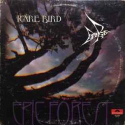 RARE BIRD EPIC FOREST Виниловая пластинка RARE BIRD EPIC FOREST Виниловая пластинка