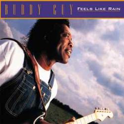 BUDDY GUY Feels Like Rain Виниловая пластинка BUDDY GUY Feels Like Rain Виниловая пластинка
