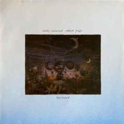 ANDY SUMMERS AND ROBERT FRIPP BEWITCED Виниловая пластинка ANDY SUMMERS AND ROBERT FRIPP BEWITCED Виниловая пластинка