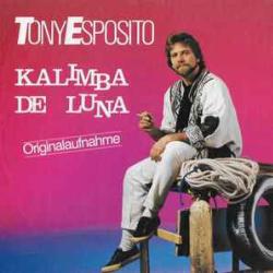 TONY ESPOSITO KALIMBA DE LUNA Виниловая пластинка TONY ESPOSITO KALIMBA DE LUNA Виниловая пластинка