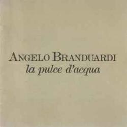 ANGELO BRANDUARDI LA PULCE D'ACQUA Фирменный CD ANGELO BRANDUARDI LA PULCE D'ACQUA Фирменный CD