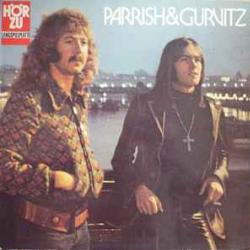 PARRISH & GURVITZ PARRISH & GURVITZ Виниловая пластинка PARRISH & GURVITZ PARRISH & GURVITZ Виниловая пластинка