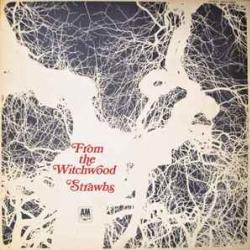 STRAWBS FROM THE WITCHWOOD Виниловая пластинка STRAWBS FROM THE WITCHWOOD Виниловая пластинка