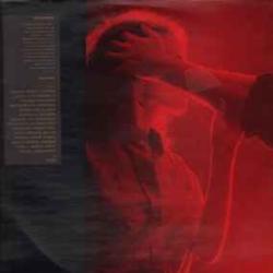 KIP HANRAHAN Tenderness Фирменный CD KIP HANRAHAN Tenderness Фирменный CD