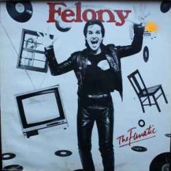 FELONY The Fanatic Виниловая пластинка FELONY The Fanatic Виниловая пластинка