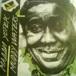 MUDDY WATERS МАДДИ УОТЕРС Виниловая пластинка MUDDY WATERS МАДДИ УОТЕРС Виниловая пластинка