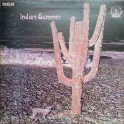 INDIAN SUMMER INDIAN SUMMER Виниловая пластинка INDIAN SUMMER INDIAN SUMMER Виниловая пластинка