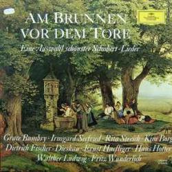 SCHUBERT AM BRUNNEN VOR DEM TORE Виниловая пластинка SCHUBERT AM BRUNNEN VOR DEM TORE Виниловая пластинка