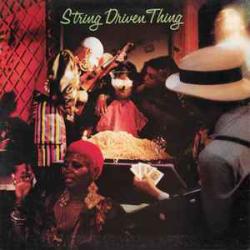 STRING DRIVEN THING STRING DRIVEN THING Виниловая пластинка STRING DRIVEN THING STRING DRIVEN THING Виниловая пластинка