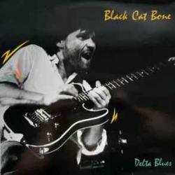 BLACK CAT BONE DELTA BLUES Виниловая пластинка BLACK CAT BONE DELTA BLUES Виниловая пластинка