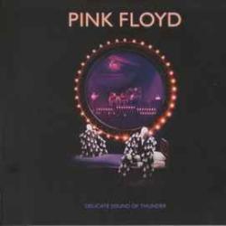 PINK FLOYD Delicate Sound Of Thunder Фирменный CD PINK FLOYD Delicate Sound Of Thunder Фирменный CD