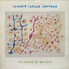 SWING OF DELIGHT