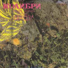 ЛУЧШИЕ ПЕСНИ ГРУППЫ БЕРДЗ