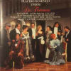 DIE FLEDERMAUS