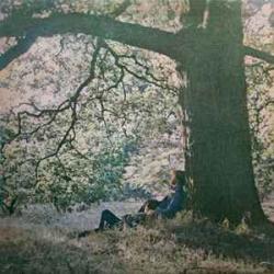Yoko Ono / Plastic Ono Band Yoko Ono / Plastic Ono Band Виниловая пластинка Yoko Ono / Plastic Ono Band Yoko Ono / Plastic Ono Band Виниловая пластинка