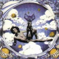 ANIMA Stürmischer Himmel Фирменный CD ANIMA Stürmischer Himmel Фирменный CD