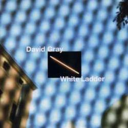 DAVID GRAY WHITE LADDER Фирменный CD DAVID GRAY WHITE LADDER Фирменный CD