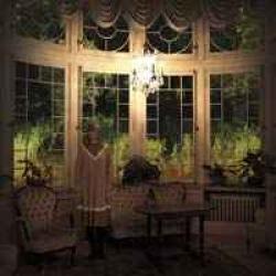ANNAMY WOODPECKER Фирменный CD ANNAMY WOODPECKER Фирменный CD