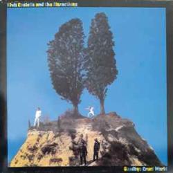 Elvis Costello And The Attractions Goodbye Cruel World Виниловая пластинка Elvis Costello And The Attractions Goodbye Cruel World Виниловая пластинка