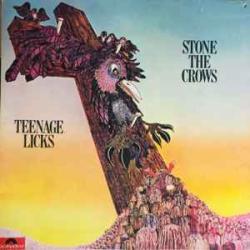 STONE THE CROWS TEENAGE LICKS Виниловая пластинка STONE THE CROWS TEENAGE LICKS Виниловая пластинка