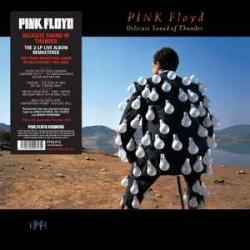 PINK FLOYD DELICATE SOUND OF THUNDER Виниловая пластинка PINK FLOYD DELICATE SOUND OF THUNDER Виниловая пластинка