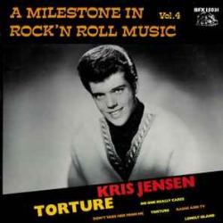 KRIS JENSEN Torture Виниловая пластинка KRIS JENSEN Torture Виниловая пластинка