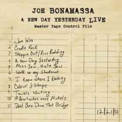 JOE BONAMASSA A NEW DAY YESTERDAY LIVE Виниловая пластинка JOE BONAMASSA A NEW DAY YESTERDAY LIVE Виниловая пластинка