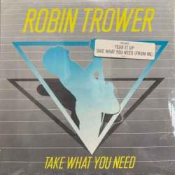 ROBIN TROWER TAKE WHAT YOU NEED Виниловая пластинка ROBIN TROWER TAKE WHAT YOU NEED Виниловая пластинка